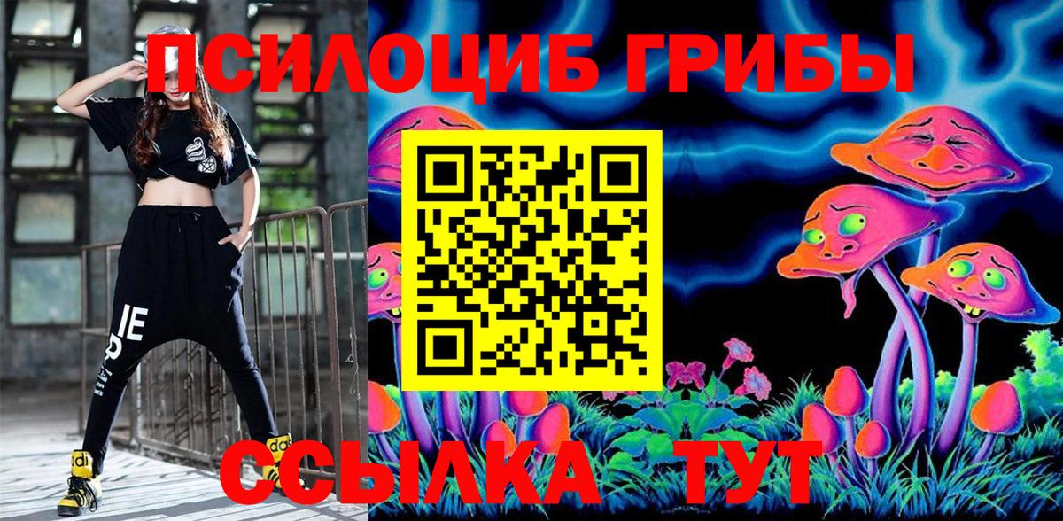 Галлюциногенные грибы Cubensis Моздок