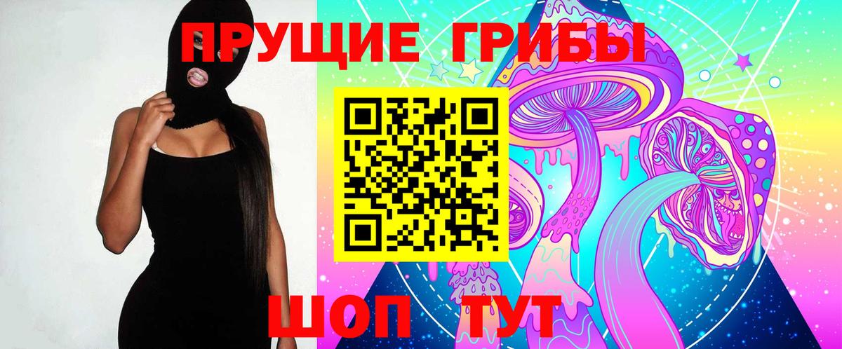 Псилоцибиновые грибы мицелий  Вход с VPN  Моздок 