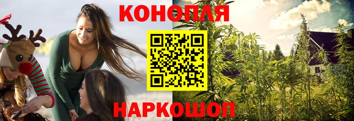 Канабис тримм  Марихуана White Widow  Конопля Amnesia  Моздок  Конопля гибрид  Вход с VPN 